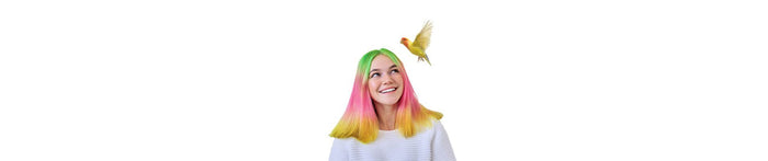 Keep Your Bird Healthy - New York Bird Supply