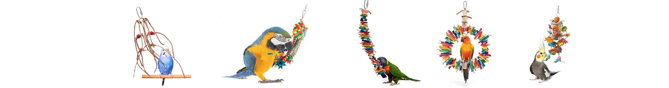 Bird Toys | New York Bird Supply