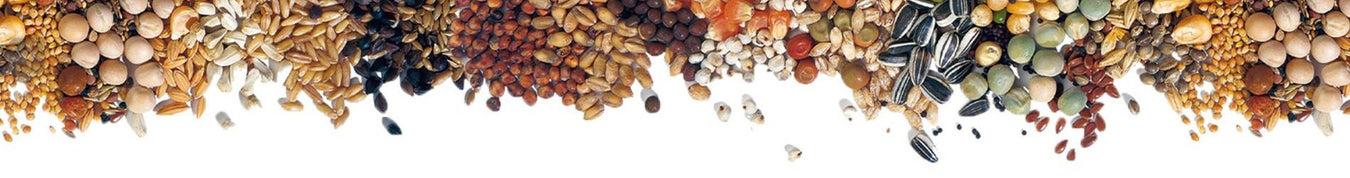 Bulk Seeds | New York Bird Supply