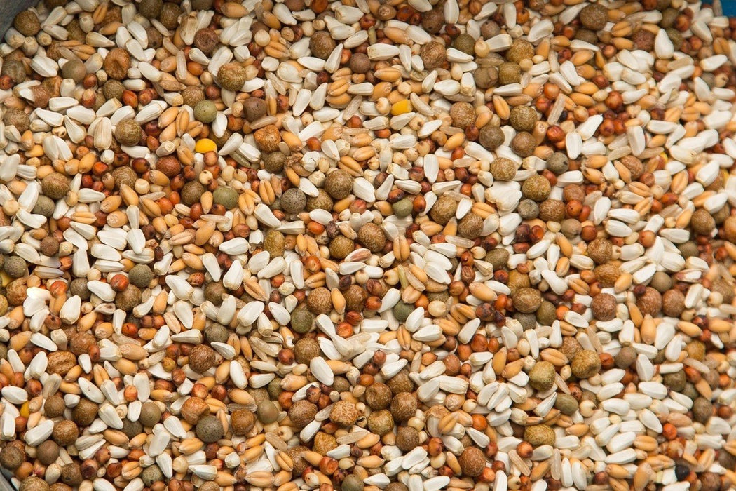 Purgrain Vinny's Mix No Corn 50lb - New York Bird Supply