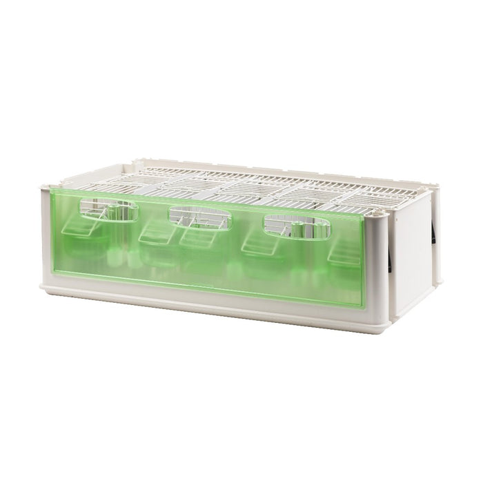 2GR Maxi Tino Transport Cage for Medium Sizes Bird Open in the Back Side Art. 205 - New York Bird Supply