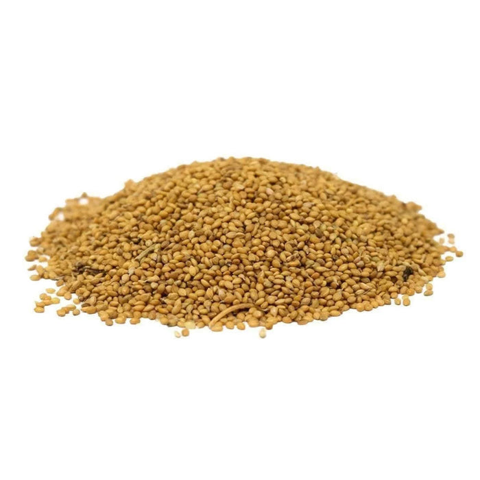 German Millet - New York Bird Supply