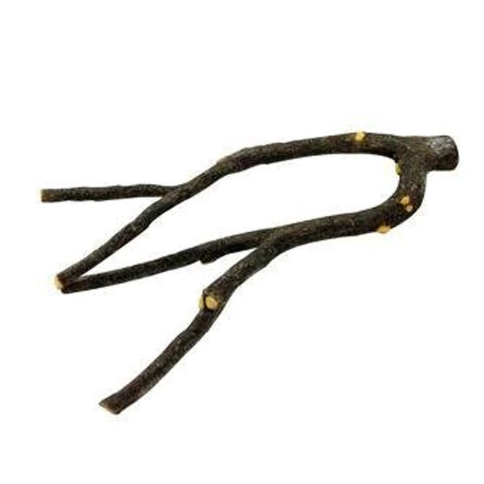 Hagen Living World Natures Perch Large - New York Bird Supply