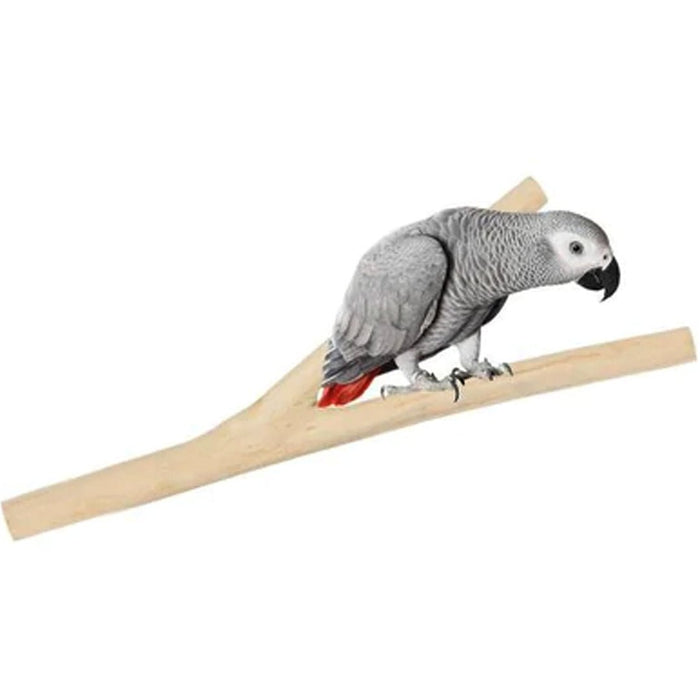 HARI Coffee Wood Branch Perch Medium - New York Bird Supply