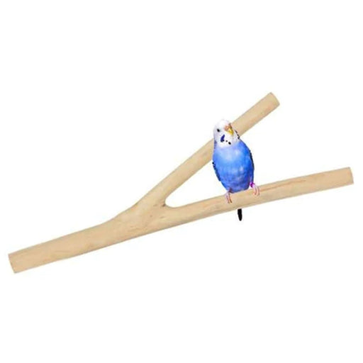 HARI Coffee Wood Branch Perch XSmall - New York Bird Supply