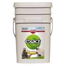 Kaytee Exact Hand Feeding Formula For Baby Birds - New York Bird Supply