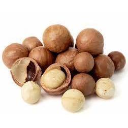 Macadamia Nuts - New York Bird Supply