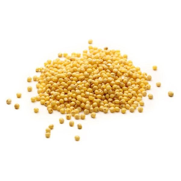 Millet Hulled 50lb - New York Bird Supply