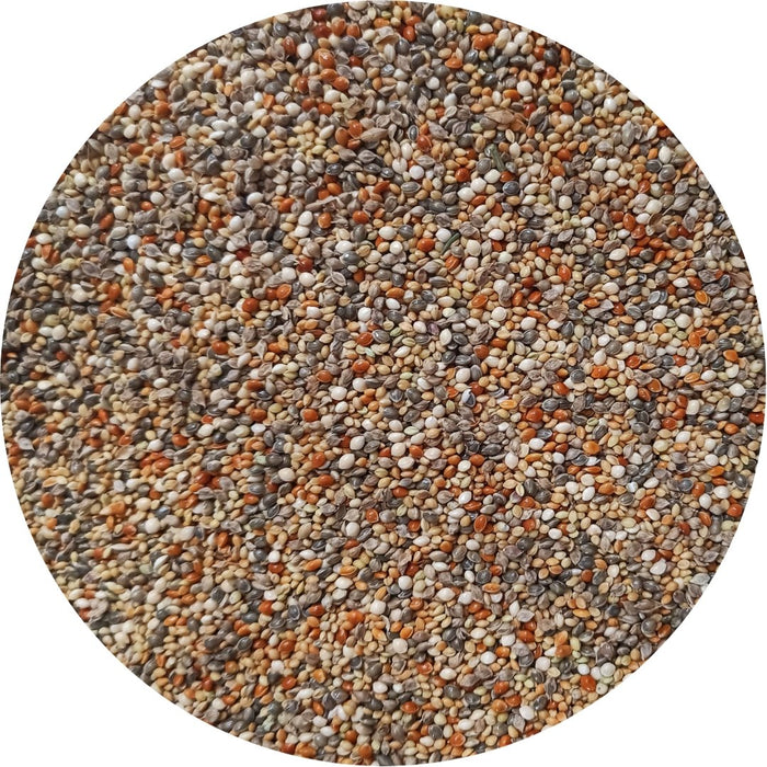 Uccello Mega 6 Millet Mix - New York Bird Supply