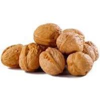 Walnuts (in shell) - New York Bird Supply