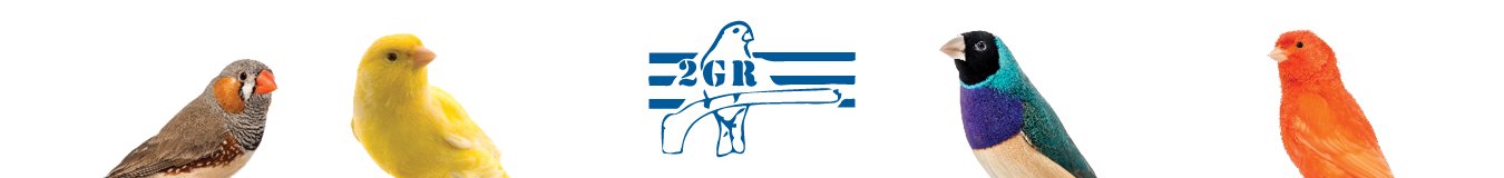 2GR Cage Sets - New York Bird Supply