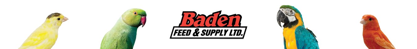 Baden | New York Bird Supply