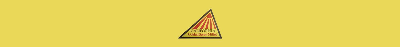 California Millet | New York Bird Supply
