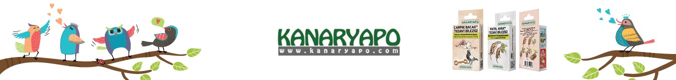 KANARYAPO | New York Bird Supply