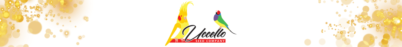 Uccello - New York Bird Supply