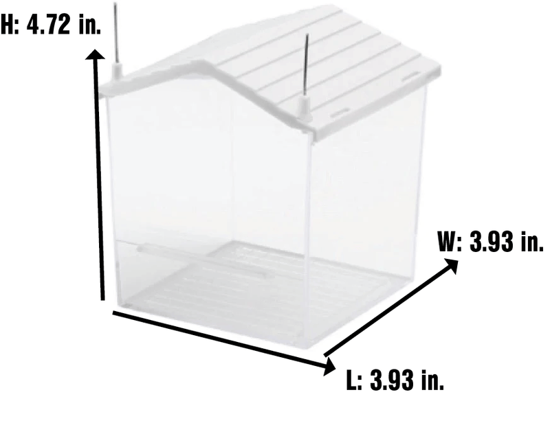 2GR House - shaped External Bath Art. 16 - New York Bird Supply