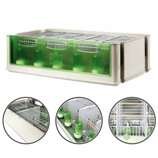 2GR Maxi Tino Transport Cage for Budgerigar 5 Spaces Art. 204 - New York Bird Supply