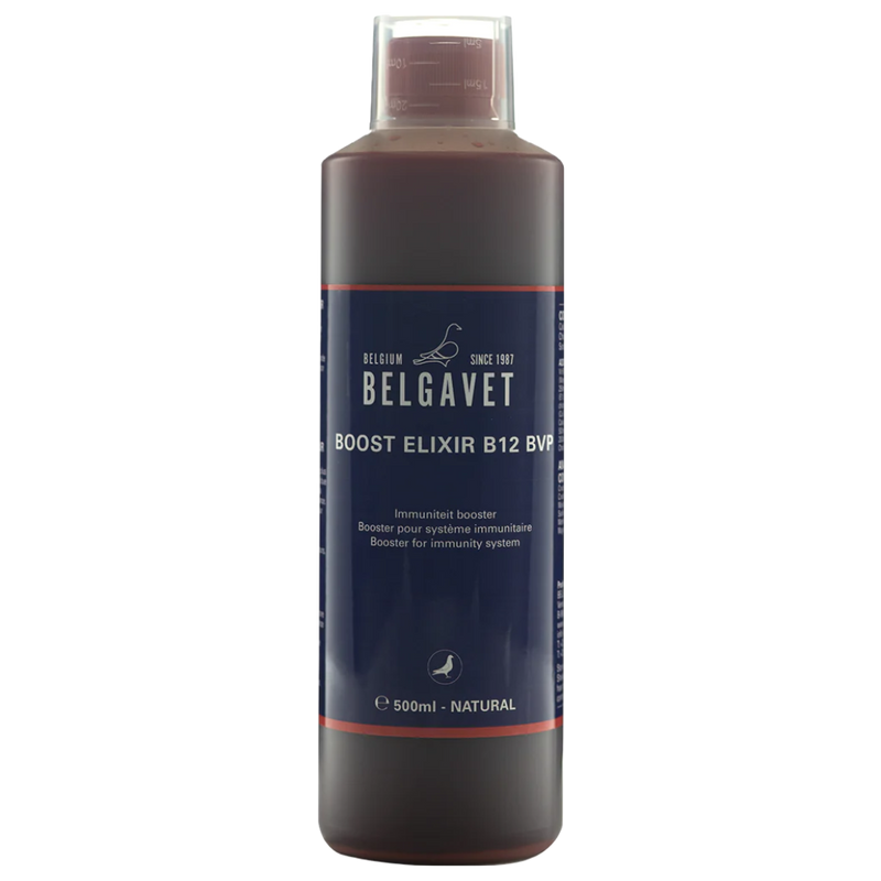 BelgaVet Boost Elixir B12 BVP 500 ml - New York Bird Supply