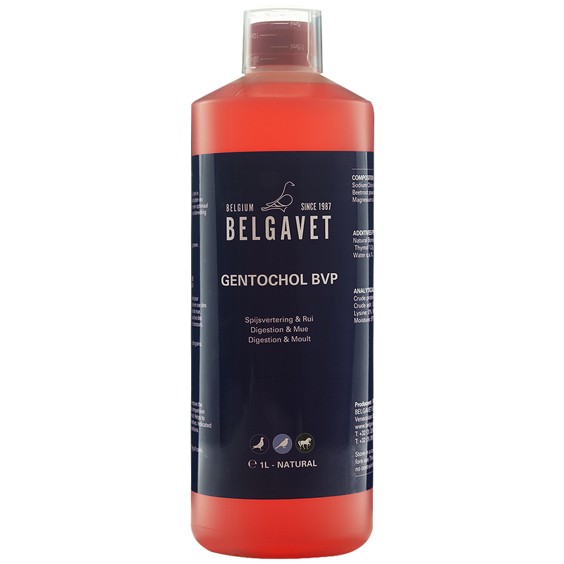 BelgaVet Gentochol BVP 1 L - New York Bird Supply