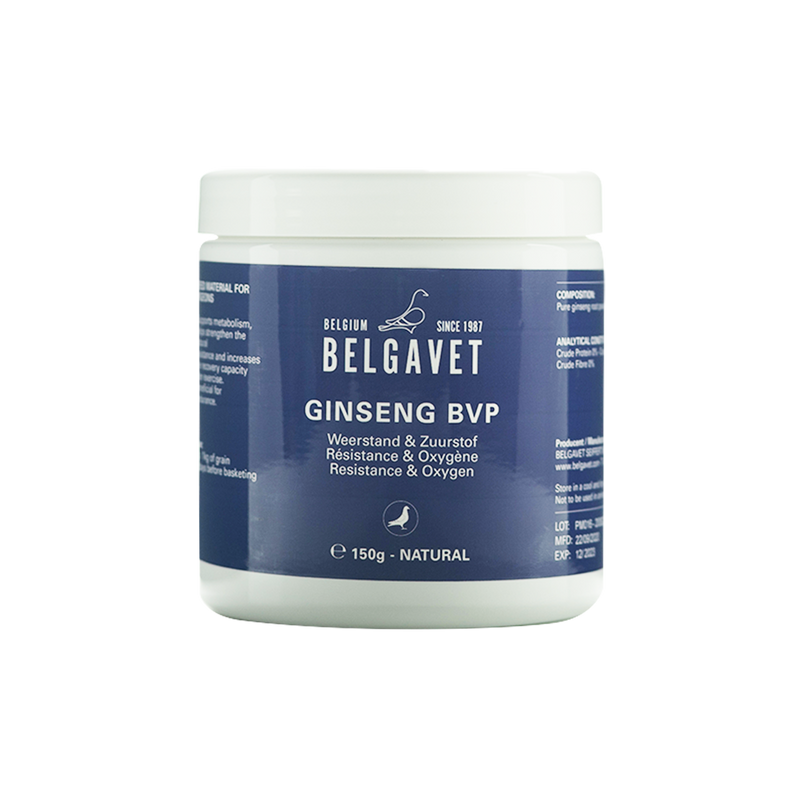 BelgaVet Ginseng BVP 150 g - New York Bird Supply