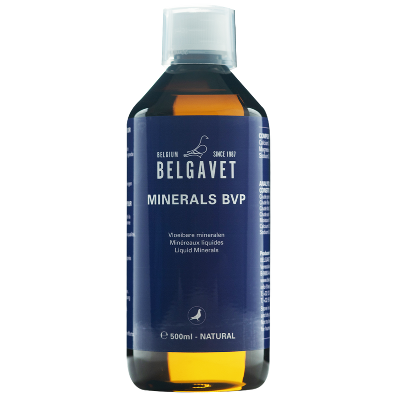 BelgaVet Minerals BVP - New York Bird Supply