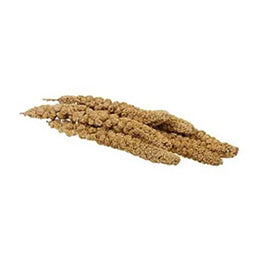 Spray Millet