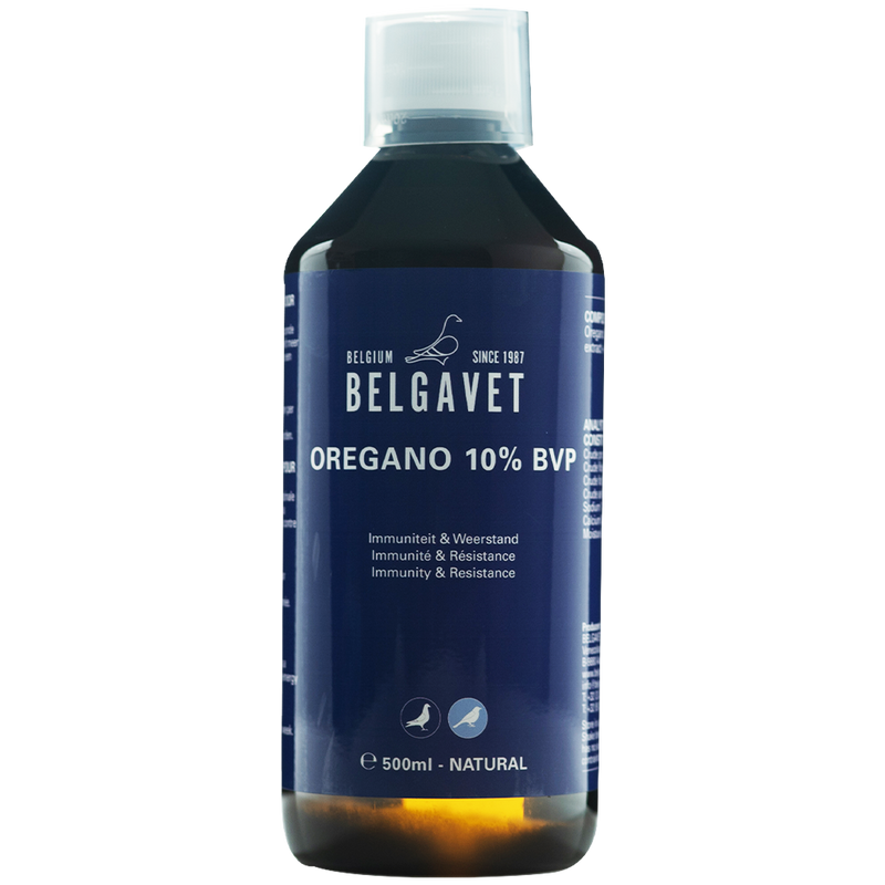 BelgaVet Oregano 10% BVP 500 ml - New York Bird Supply
