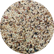 Uccello Canary Breeder No Canola - New York Bird Supply