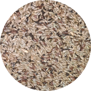 Uccello Canary Classic Breeder - New York Bird Supply