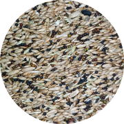 Uccello Canary & Rape Seed - New York Bird Supply