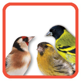 Siskin Finch Food Blends