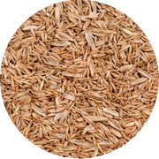Tall Fescue Seed - New York Bird Supply