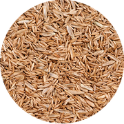 Tall Fescue Seed - New York Bird Supply