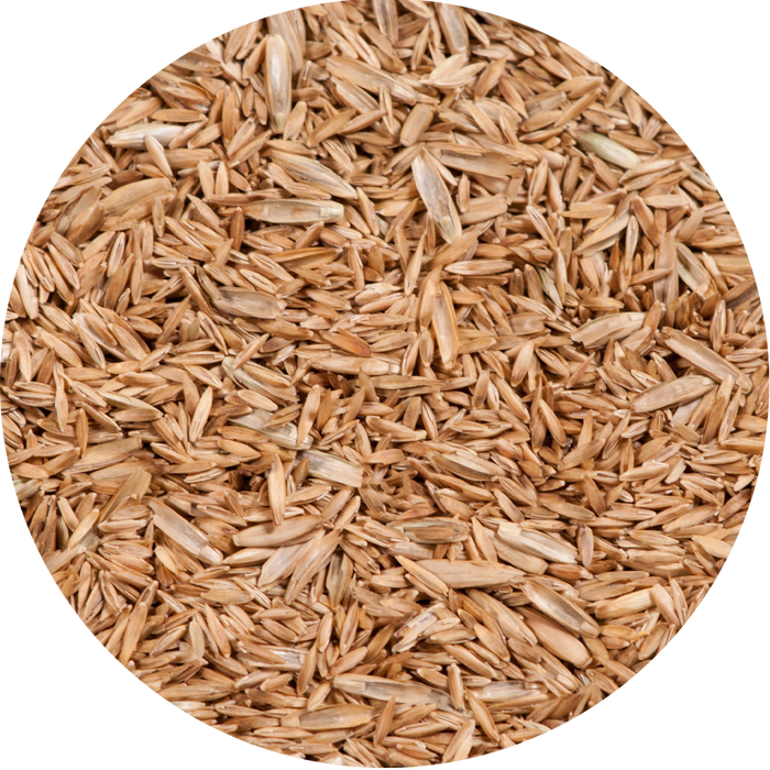 Tall Fescue Seed - New York Bird Supply