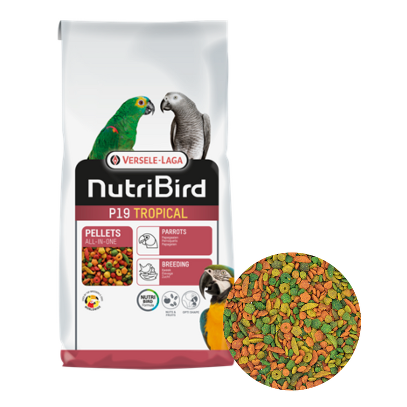 NutriBird P19 Tropical 10 kg - New York Bird Supply