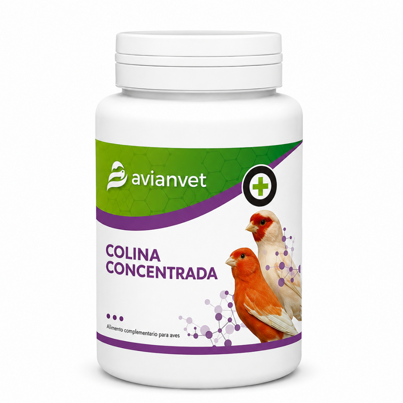 Avianvet Colina Concentrada 100g