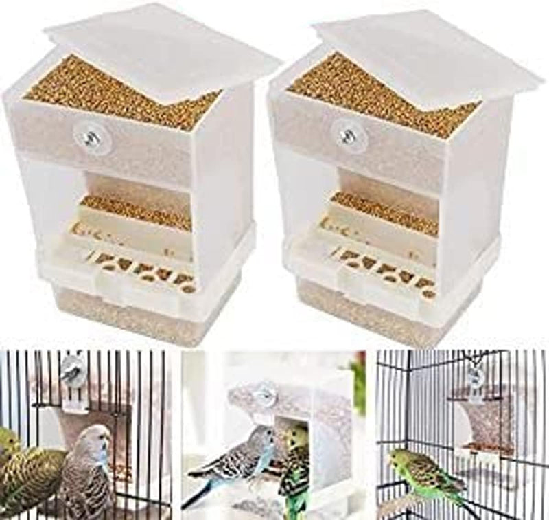 Automatic Bird Feeder - New York Bird Supply