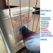 Automatic Pigeon Bird Feeder - Parrot Feeder Cage Accessories Supplies for Parakeet Canary Cockatiel Finch 2 PK - New York Bird Supply