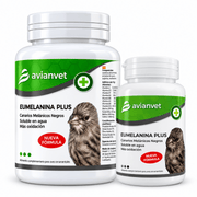 Avianvet Eumelanina Plus - New York Bird Supply