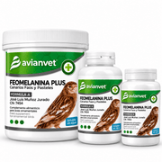 Avianvet Feomelanina Plus Formula Jose Luis Munoz - New York Bird Supply