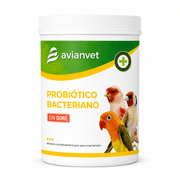 Avianvet Probiotico Bacteriano (Bacteria Probiotic) - New York Bird Supply