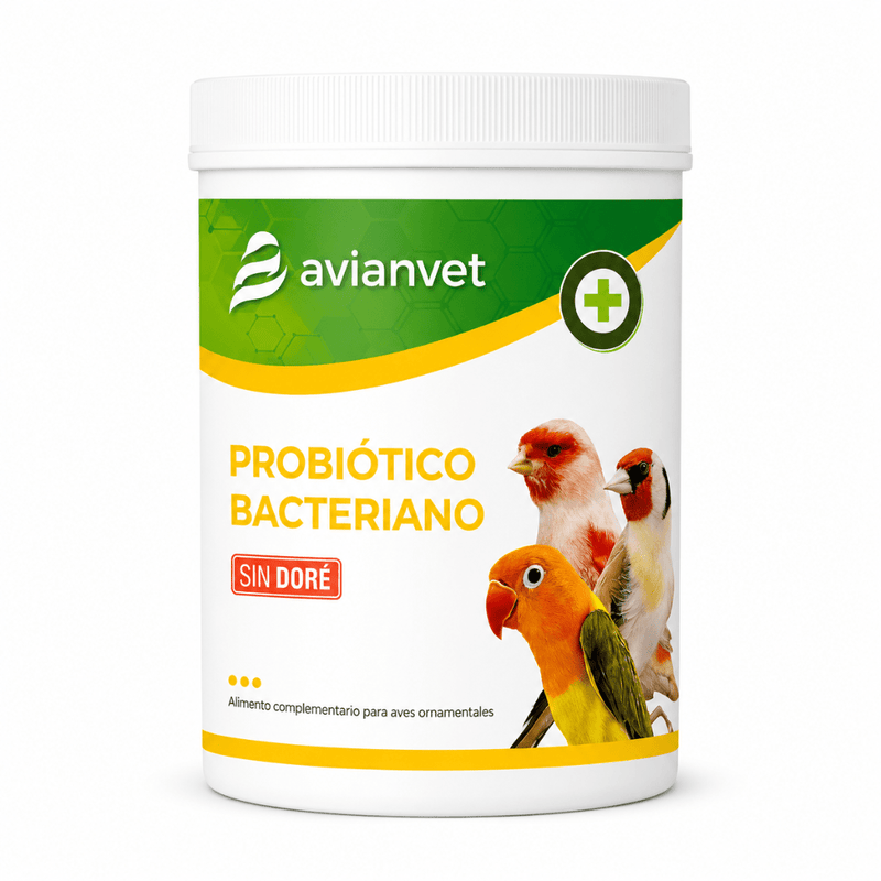 Avianvet Probiotico Bacteriano (Bacteria Probiotic) - New York Bird Supply