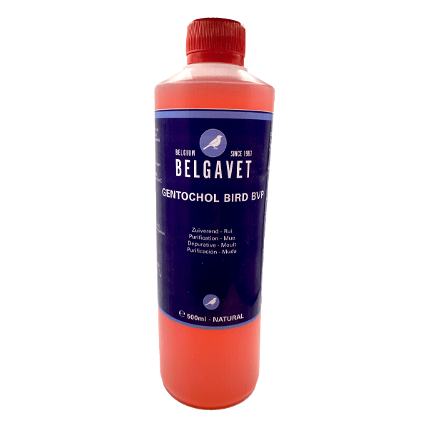 BelgaVet Gentochol Bird - New York Bird Supply