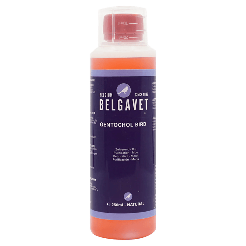 BelgaVet Gentochol Bird - New York Bird Supply