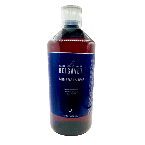 BelgaVet Minerals BVP - New York Bird Supply