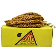 California Millet Spray Premium - New York Bird Supply
