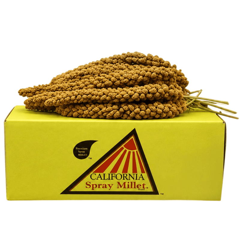California Millet Spray Premium - New York Bird Supply