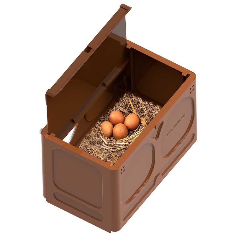 Copele Chick Nest Nido - avi nest - New York Bird Supply