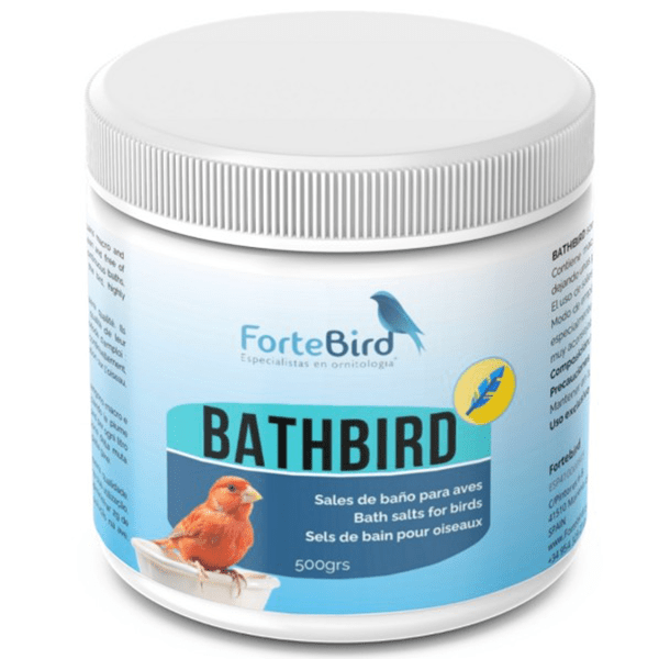 ForteBird BathBird - New York Bird Supply