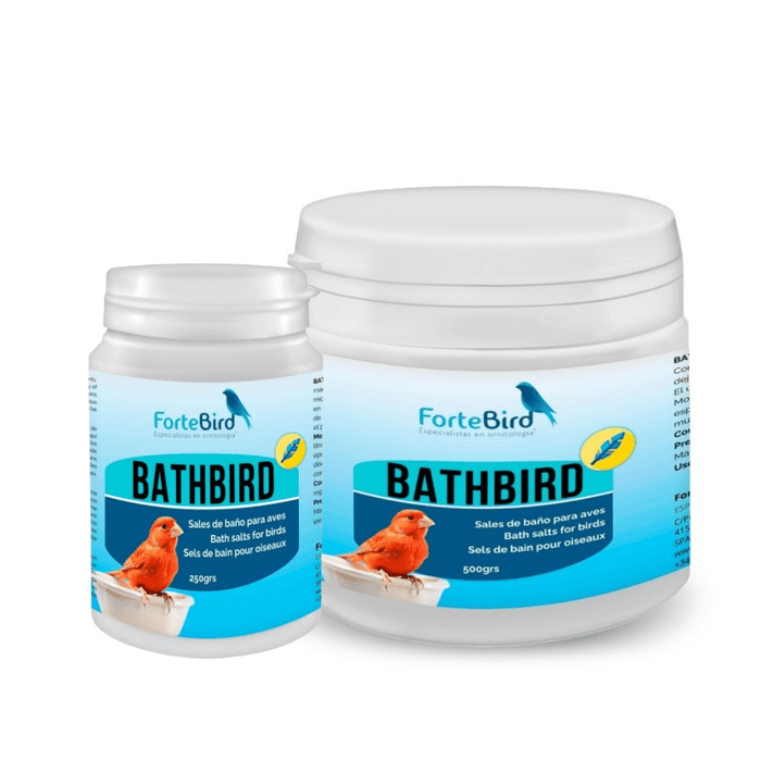 ForteBird BathBird - New York Bird Supply